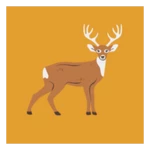 Logo of Deer Sounds & Calls android Application 